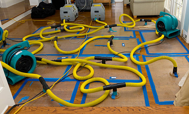 Professional Water Damage Restoration technician working in Fingerville, SC